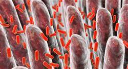 posgrado microbiota humana para farmacia