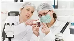 ##IMAGE##