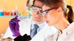 ##IMAGE##