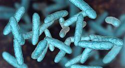diplomado probióticos prebióticos microbioma y salud para farmacia