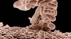 especializacion online microbiota intestinal para farmacia