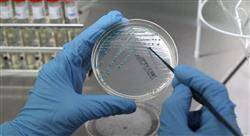 experto universitario microbiota intestinal para farmacia