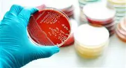 formacion microbiota y microbioma para farmacia