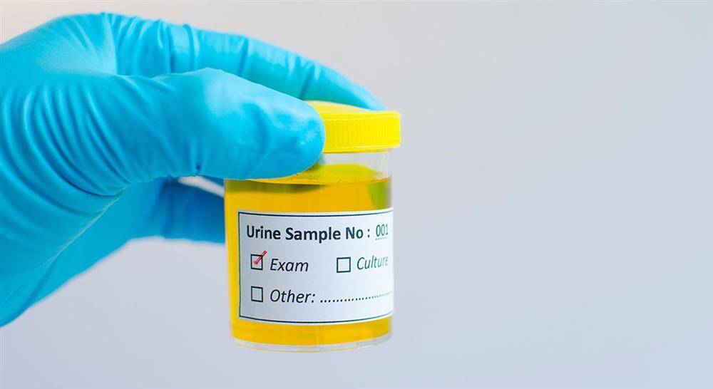 diplomado microbiótica genitourinaria para farmacia