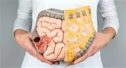 curso microbiota y homeostasis intestinal para farmacia