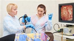 diplomado online microbiota homeostasis intestinal