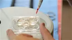 ##IMAGE##