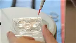 ##IMAGE##