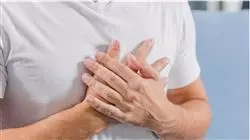 ##IMAGE##