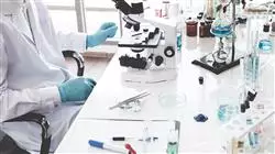 ##IMAGE##