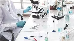 ##IMAGE##