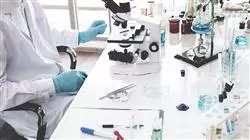 ##IMAGE##