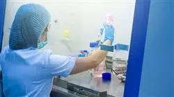 ##IMAGE##