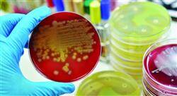 curso tratamiento antibiótico para farmacéuticos