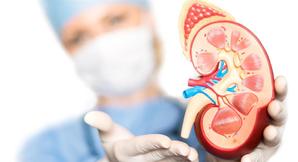 especializacion trasplante renal para enfermería