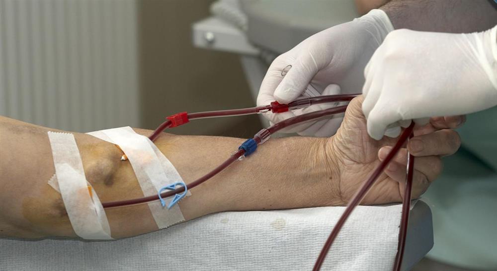 estudiar trasplante renal para enfermería