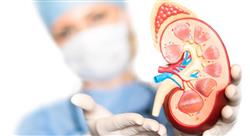 especializacion trasplante renal para enfermería