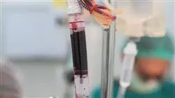 ##IMAGE##