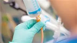 maestria nutricion clinica enfermeria