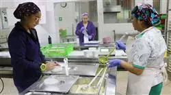 magister nutricion clinica enfermeria