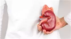##IMAGE##