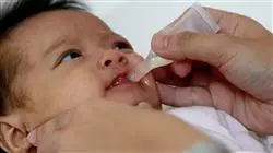 ##IMAGE##