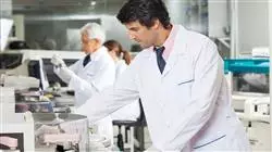diplomado online fundamentos investigacion ciencia salud