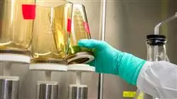 diplomado online lineas investigacion enfermeria