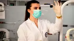 cursos investigacion ciencias enfermeria bioetica calidad lineas investigacion