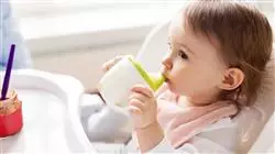 ##IMAGE##
