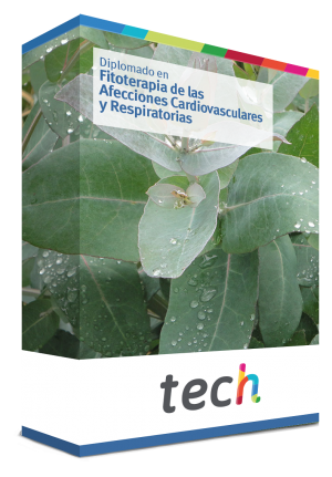 courseInfo