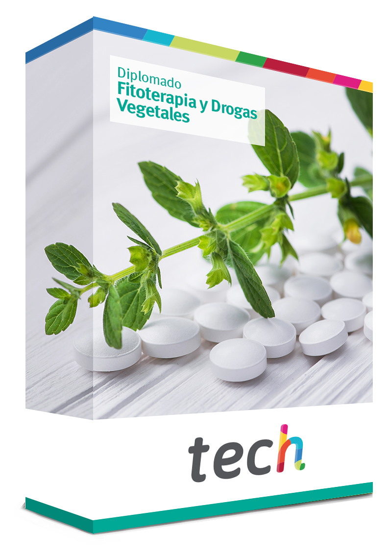 diplomado fitoterapia drogas vegetales caja