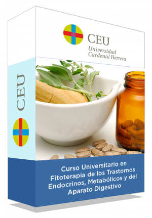 courseInfo
