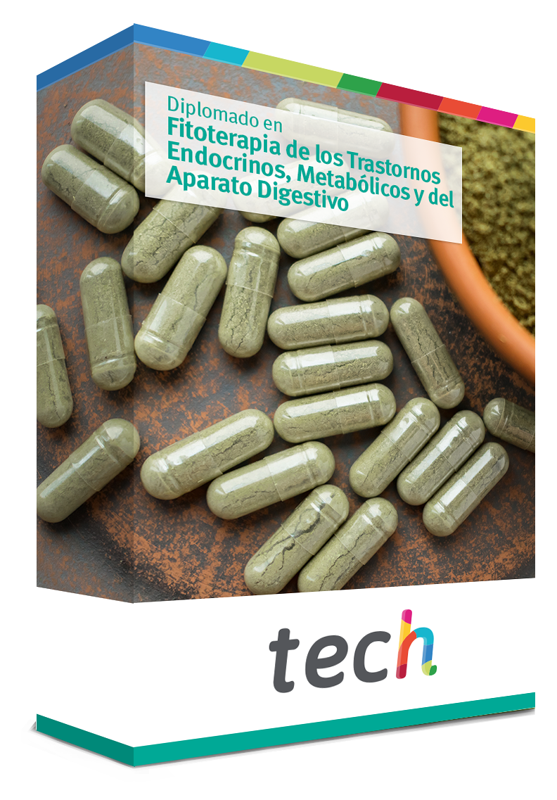 diplomado fitoterapia trastornos endocrinos metabolicos aparato digestivo caja