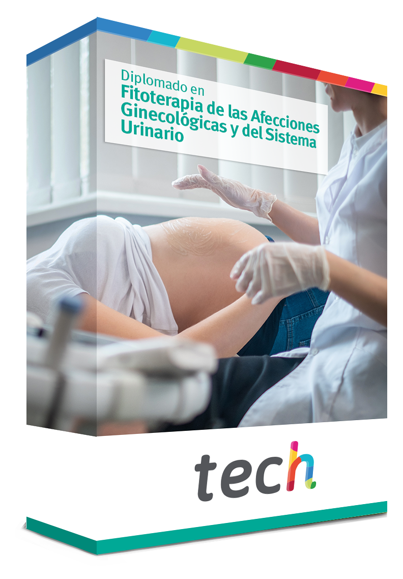 courseInfo