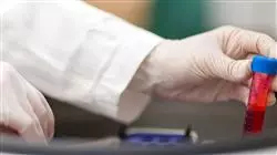 ##IMAGE##