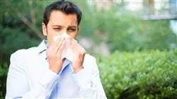 ##IMAGE##
