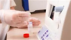 ##IMAGE##
