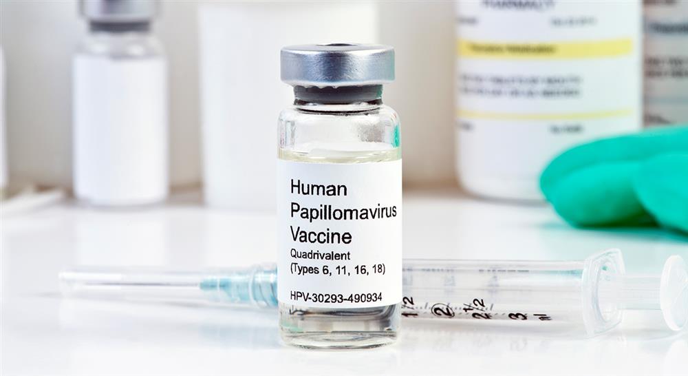 experto universitario fundamentos y epidemiología de la inmunización proceso de vacunación y su futuro