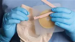 ##IMAGE##