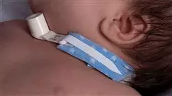 ##IMAGE##