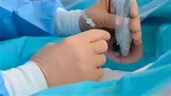 ##IMAGE##