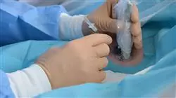 ##IMAGE##