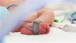 ##IMAGE##