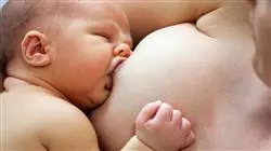 ##IMAGE##