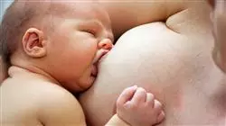 ##IMAGE##