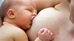 diplomado recien nacido lactancia materna Tech Universidad