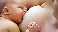 ##IMAGE##