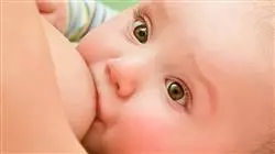 ##IMAGE##