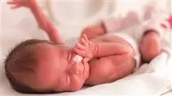 ##IMAGE##